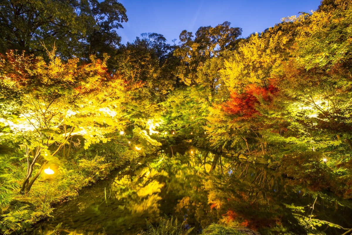 2. สวนโทคุกาวะ จ.ไอจิ (Tokugawa-en Garden, Aichi)