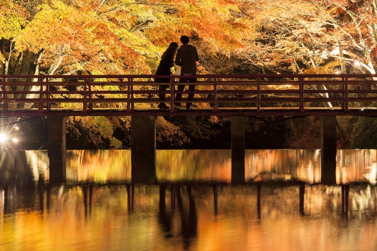 4. สวนอิวายาโดะ จ.ไอจิ (Iwayado Park, Aichi)