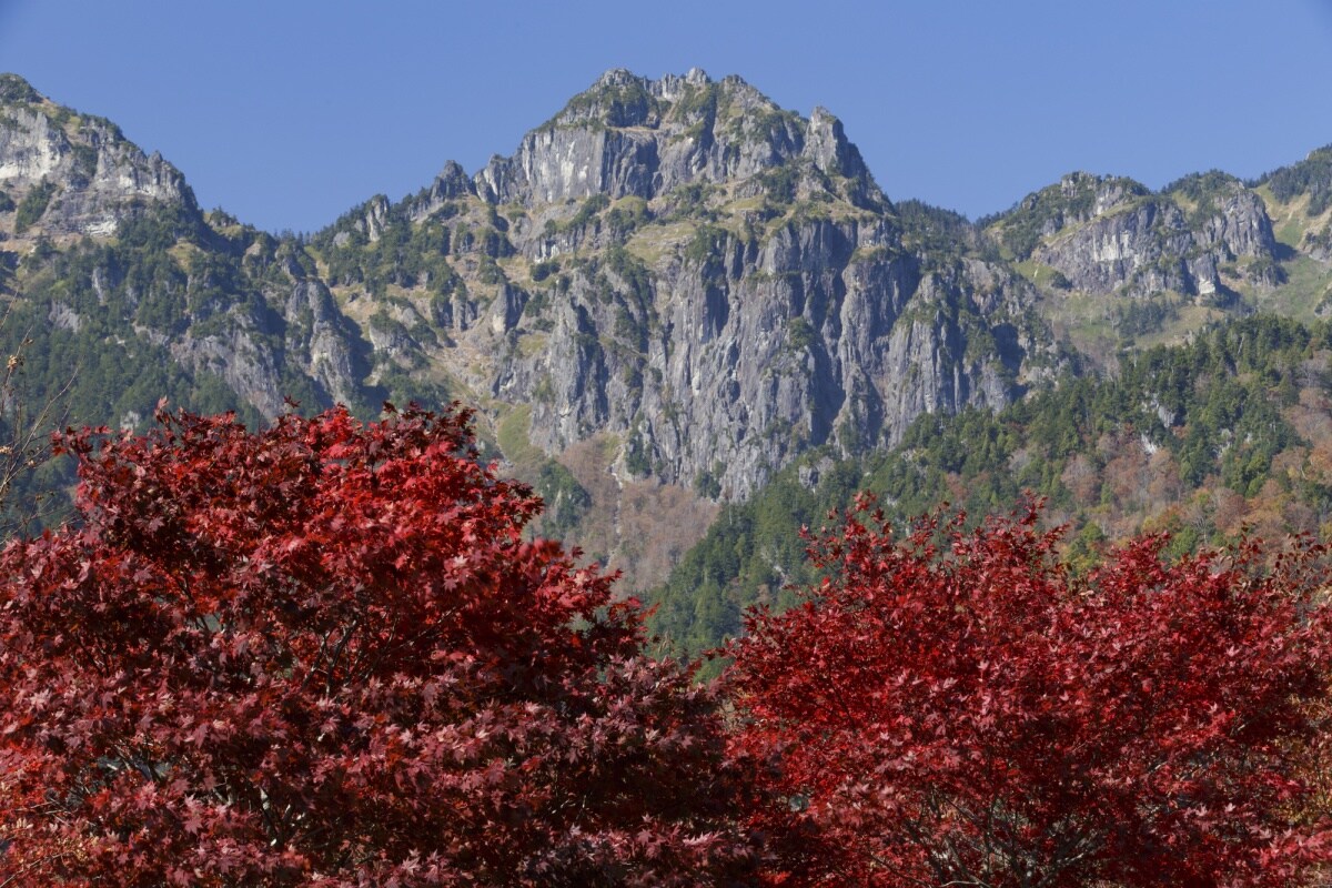 5. กระเช้าลอยฟ้าชินโฮทากะโรปเวย์ จ.กิฟุ (Shinhotaka Ropeway, Gifu)