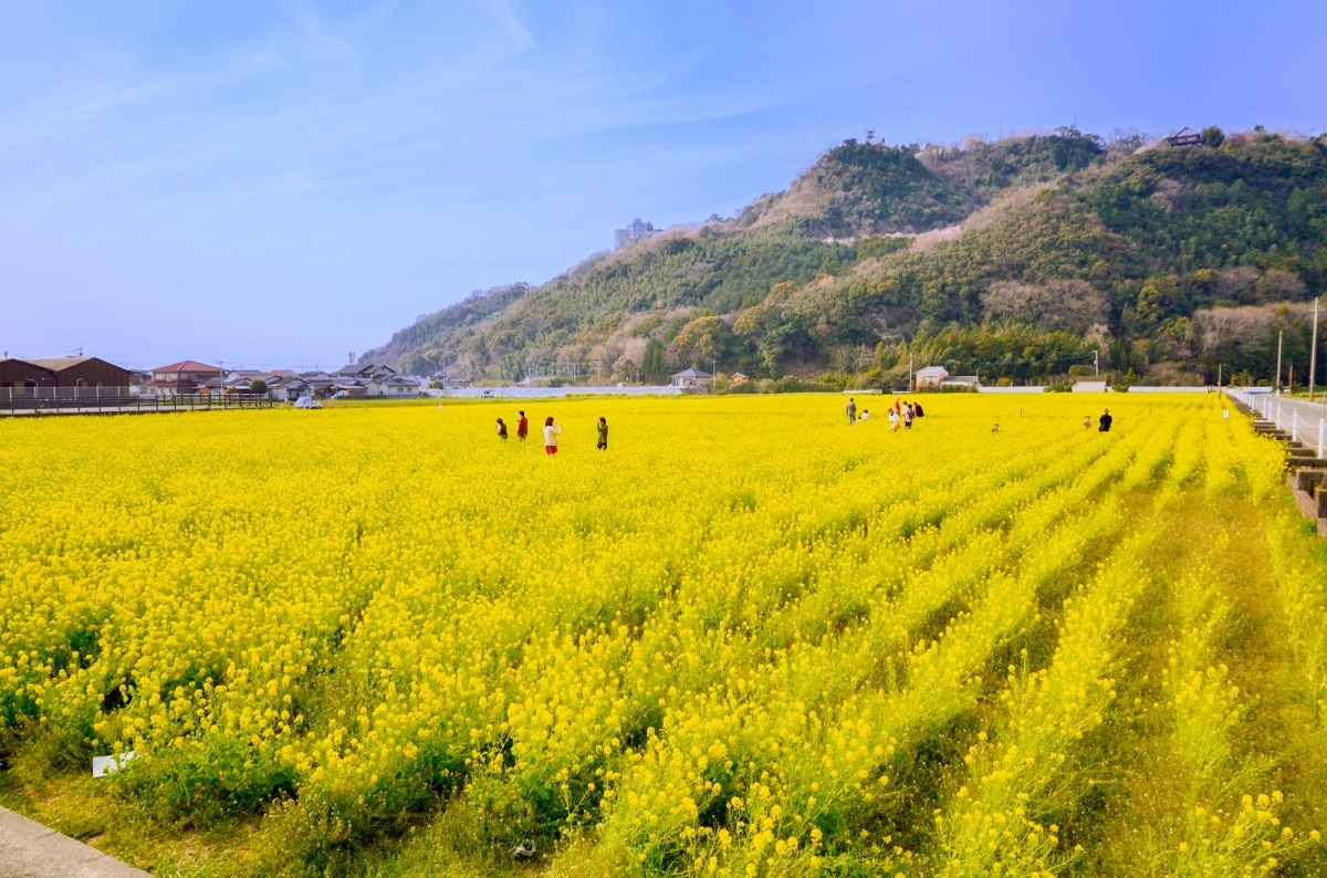 4. ฮาระซุรุอนเซ็น (Harazuru Onsen) จังหวัดฟุกุโอกะ (Fukuoka)