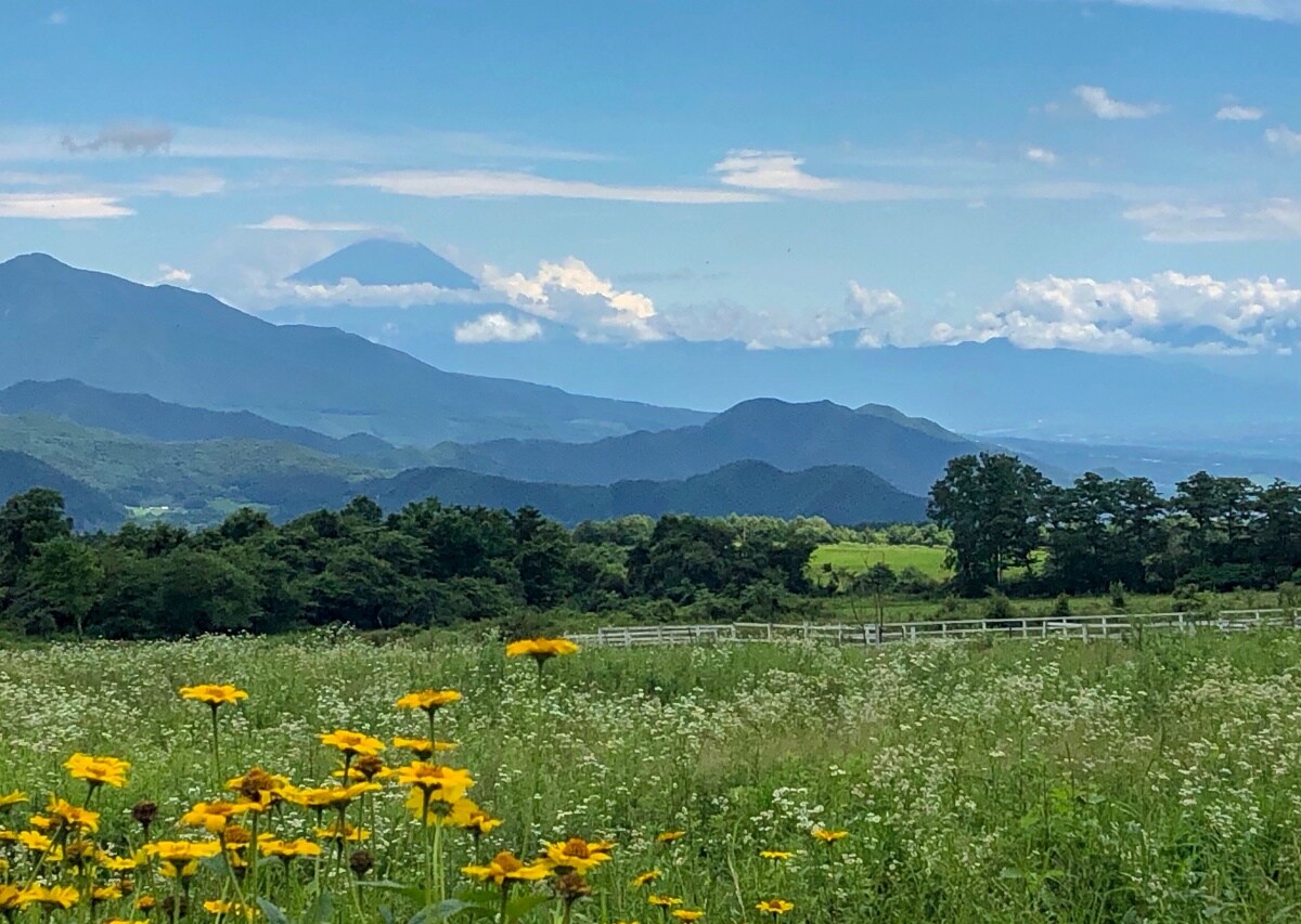 日本山梨 离天空最近 八岳高原列车小海线之旅 All About Japan