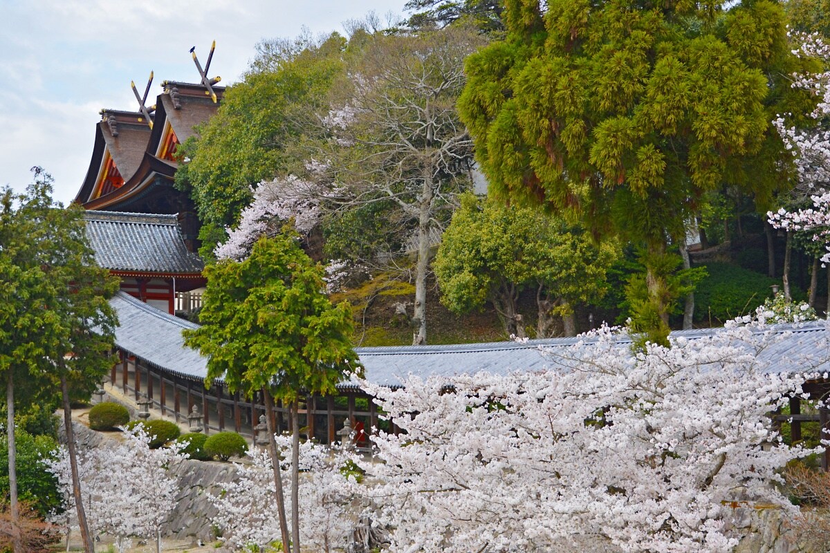 ศาลเจ้าคิบิทสึ เมืองคิบิทสึ จ.โอคายาม่า (Kibitsu Shrine)