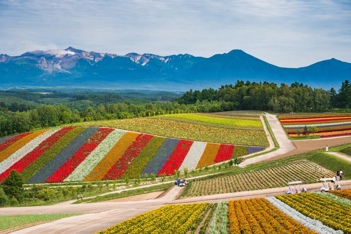 Biei - Hokkaido Prefecture