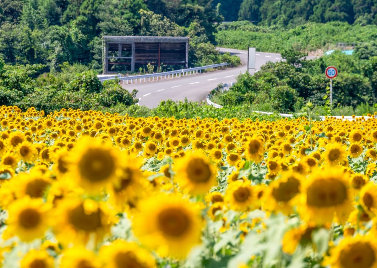 4. อาวาระออนเซ็น (Awara Onsen), จังหวัดฟุคุอิ (Fukui)