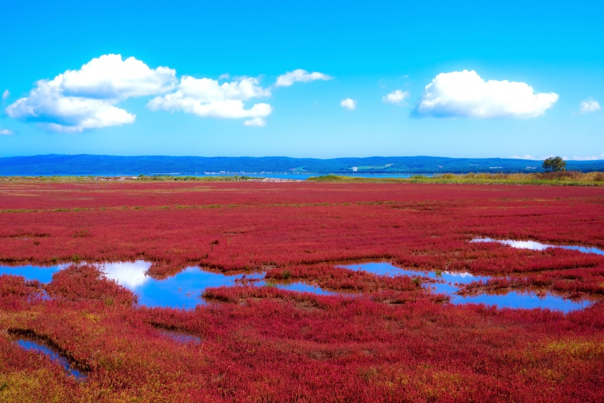 Hokkaido