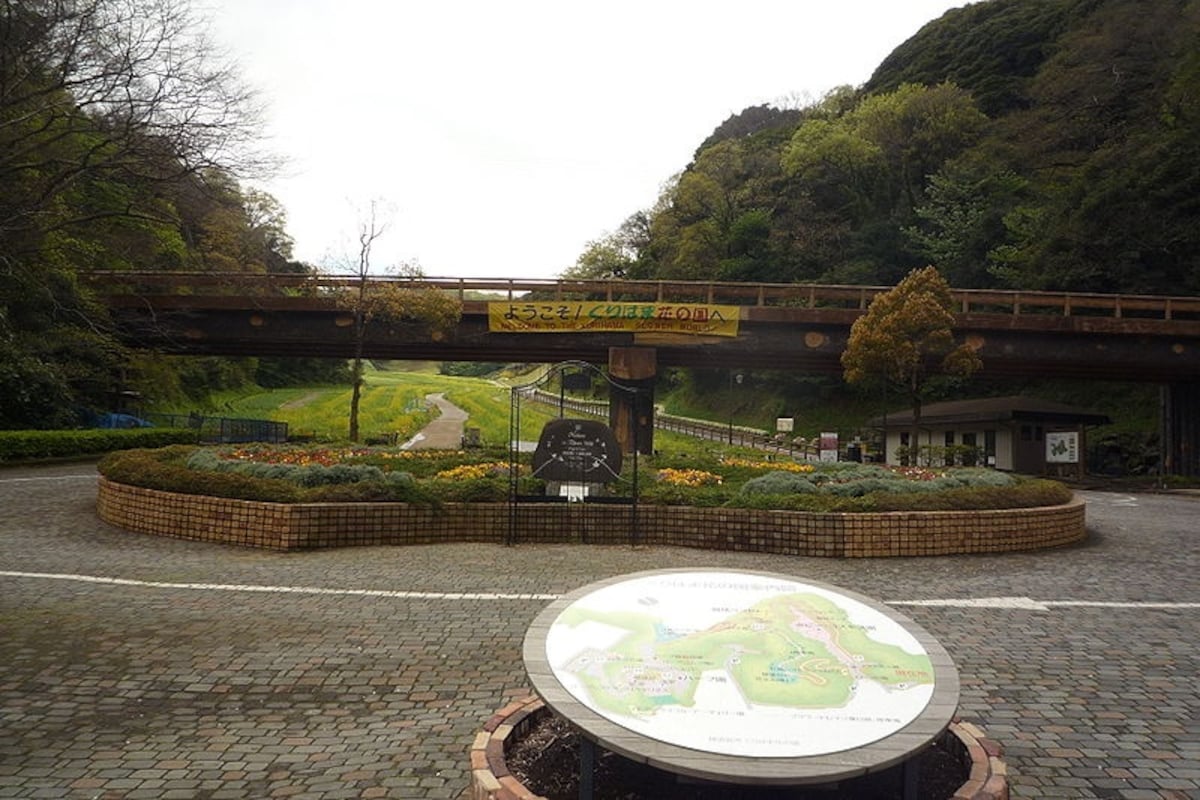 7. Stop and smell the flowers at Kurihama Flower Park