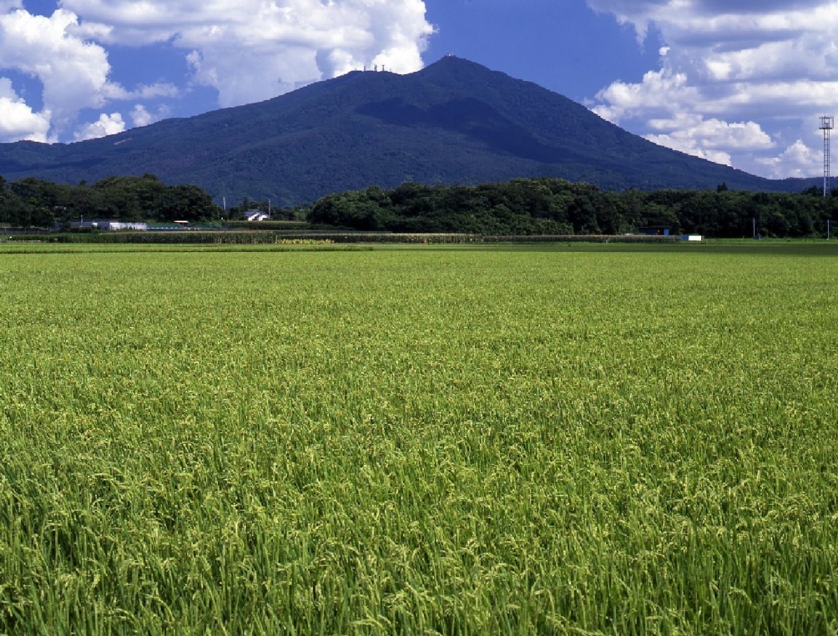 日本旅行 与富士山齐名的 紫峰 筑波山是一座怎样的神山 All About Japan