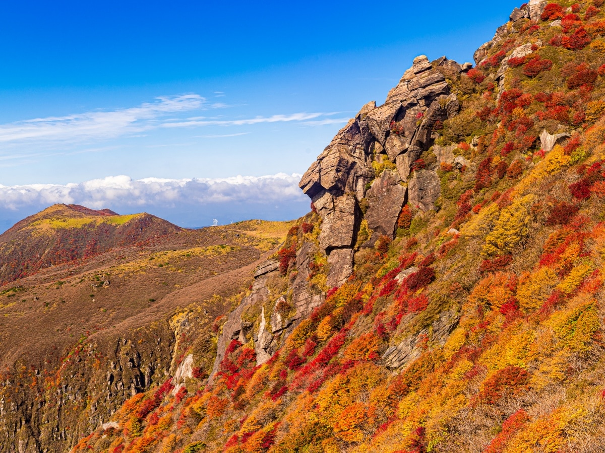 1. ภูเขาคูจู จังหวัดโออิตะ (Mt.Kuju, Oita)