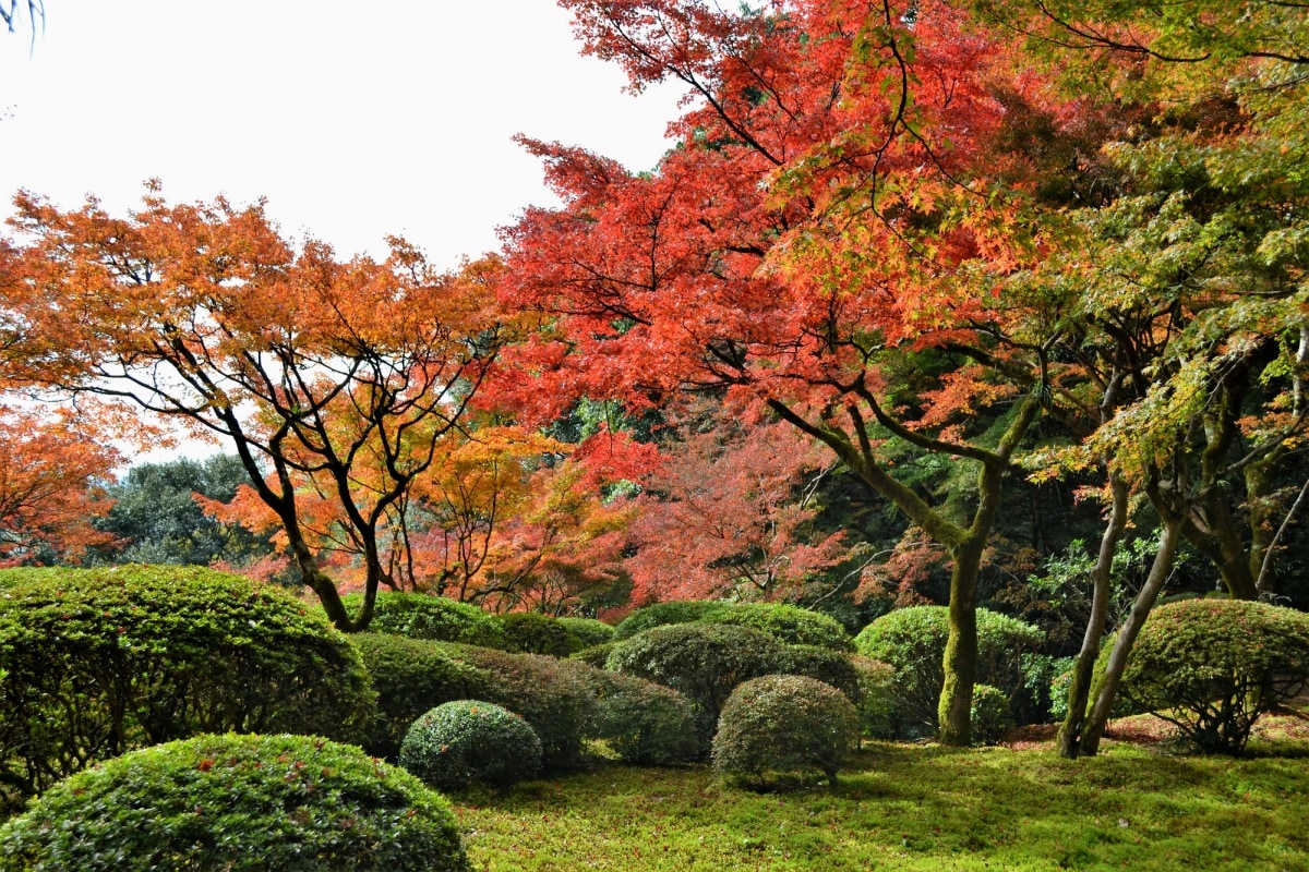 8. สวนคุเนนอัน จังหวัดซากะ (Kunenan Garden, Saga)