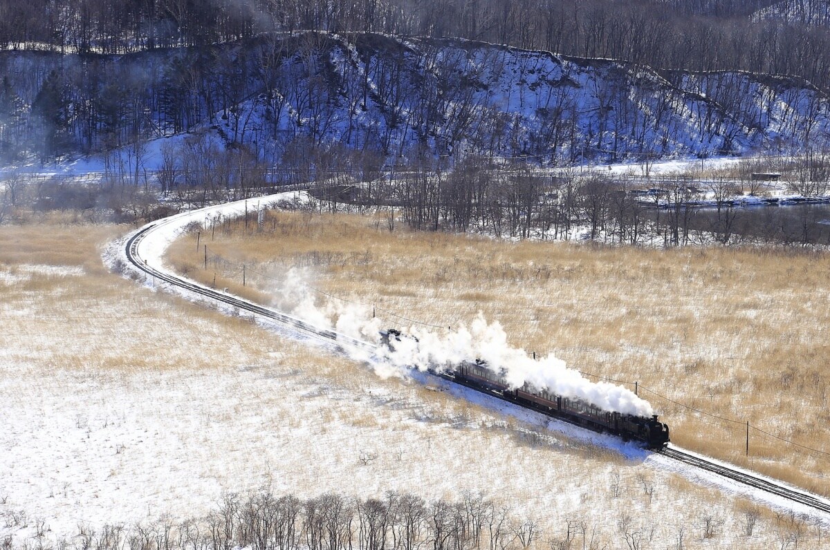 9. ขึ้นรถไฟชมวิวหิมะ