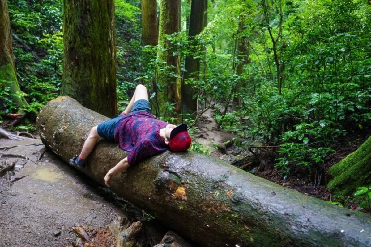 My Mission to Find an Alien Atop Mount Takao? Failed.