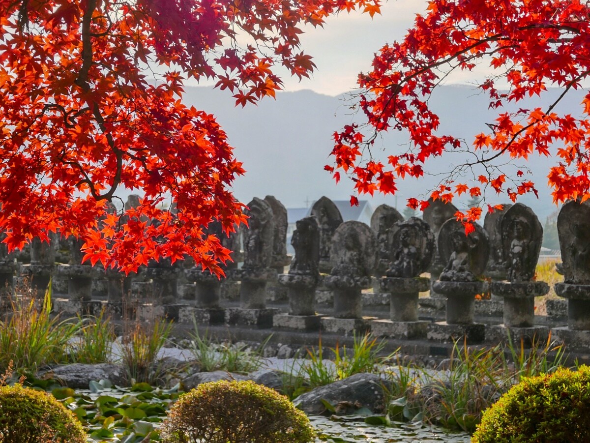 「長円寺」的美麗紅葉隧道