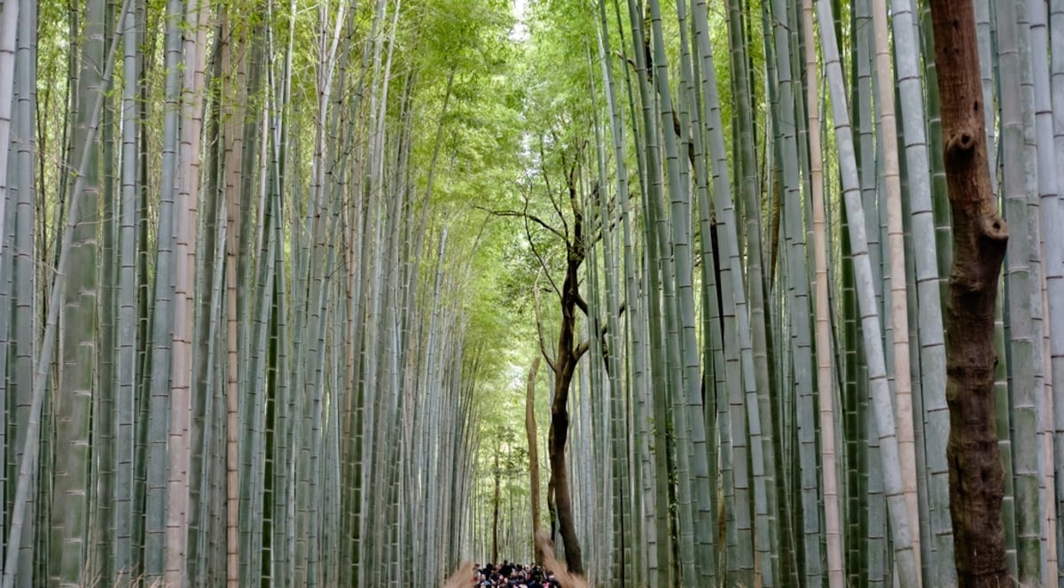 8. Kyoto, Japan