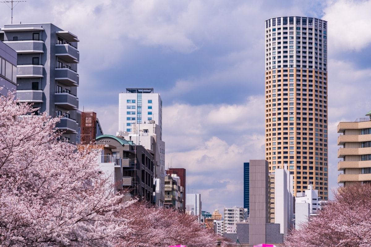 5. ย่านเมกุโระ โตเกียว (Meguro, Tokyo)