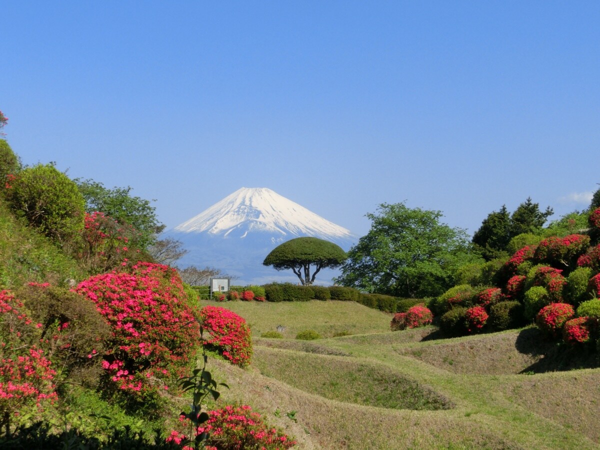 Explore the Old Tokaido Highway Hiking the Hakone Hachiri