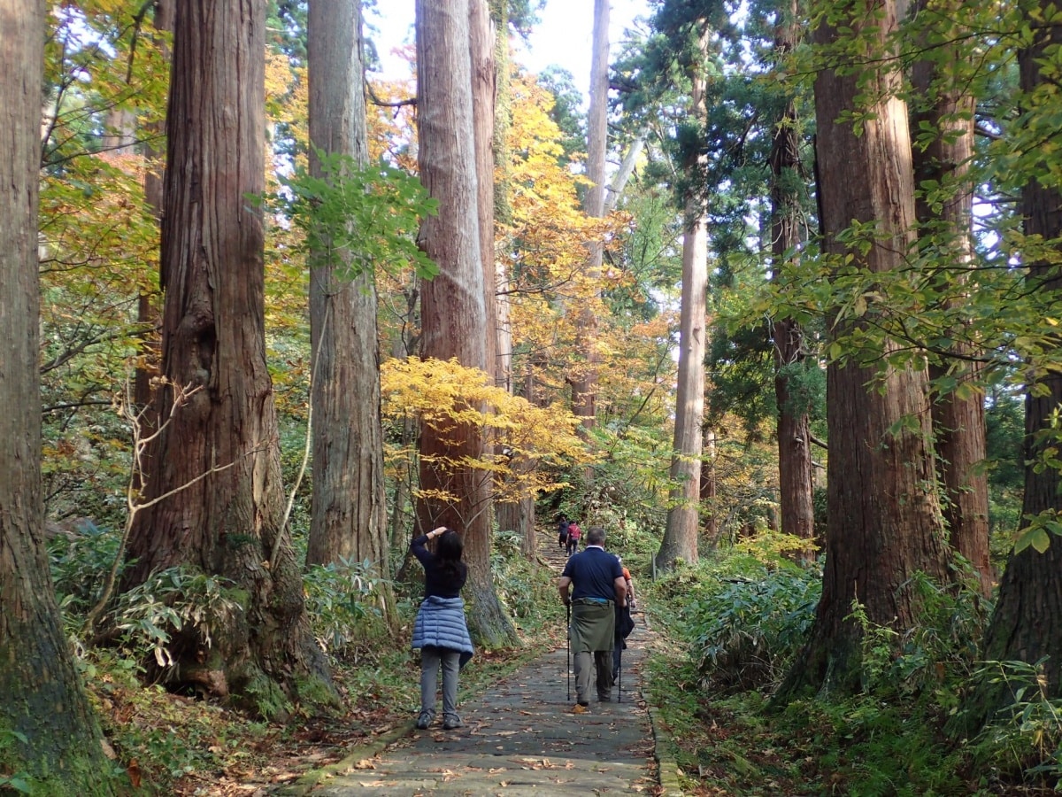 10. Basho Tour, Hokkaido