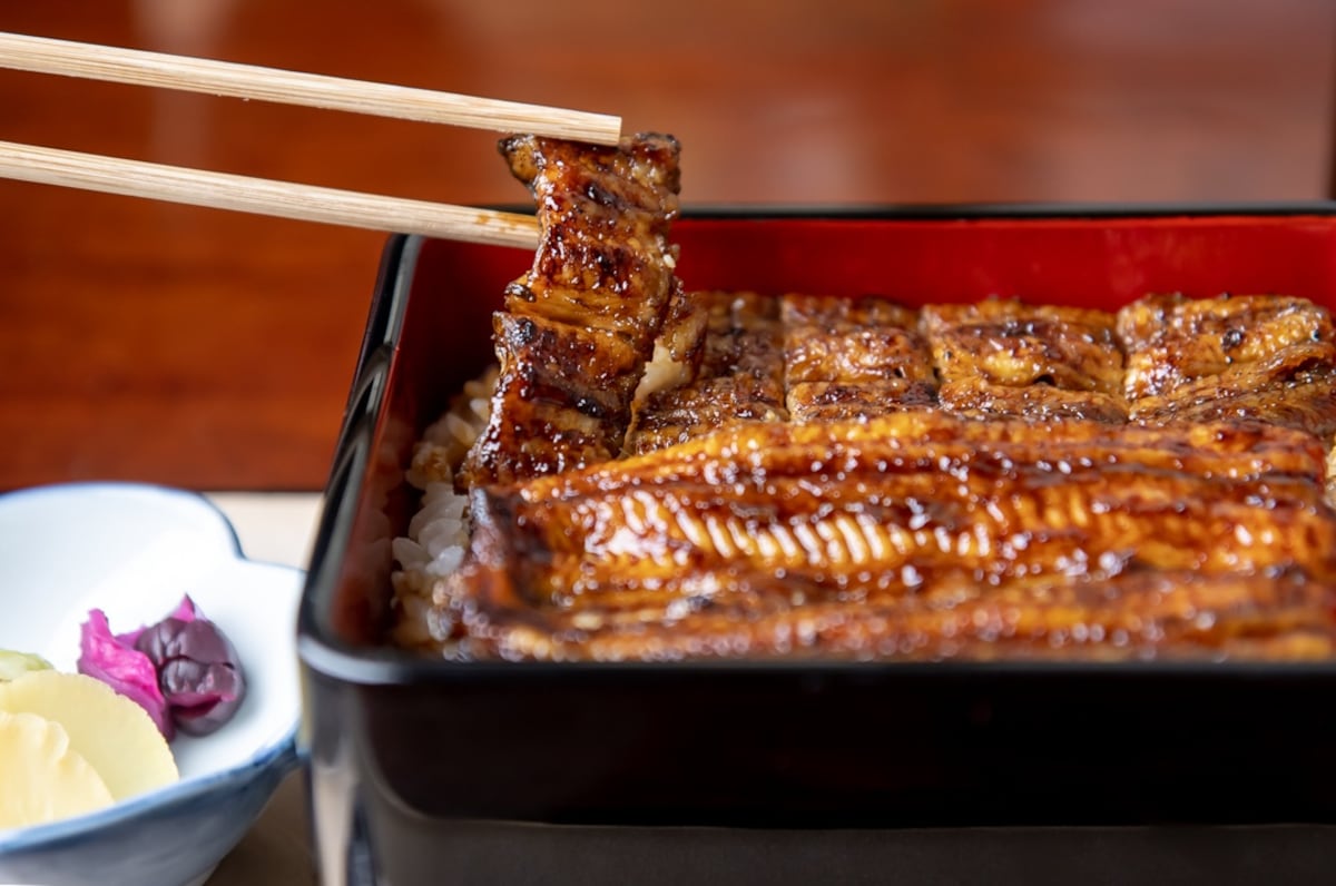 两种愿望一次满足！东西双拼鳗鱼饭