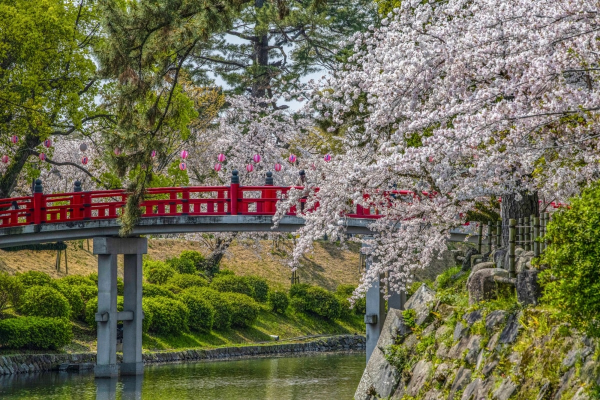 สถานที่เที่ยวแนะนำ : สวนโอคาซากิ (Okazaki Park)