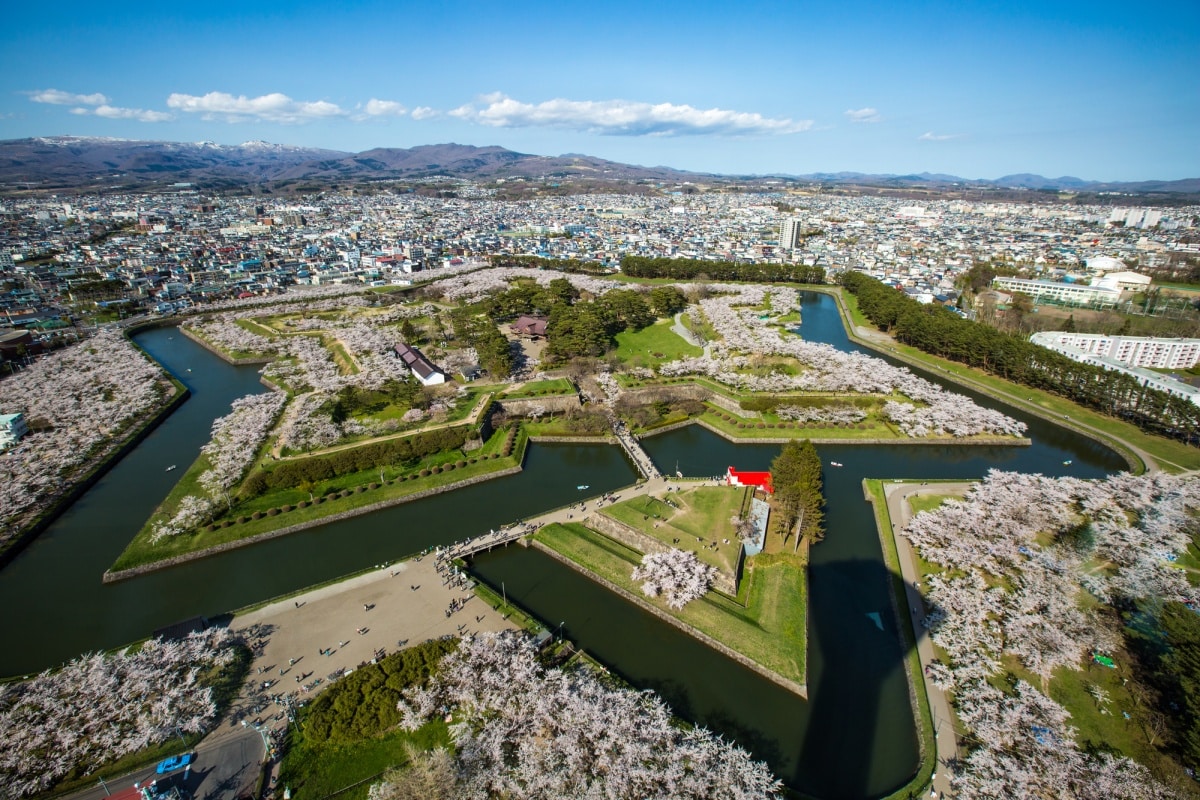 3. สัมผัสวิวดอกซากุระสุดอลังการที่ป้อมโกเรียวคาคุ (Goryokaku)