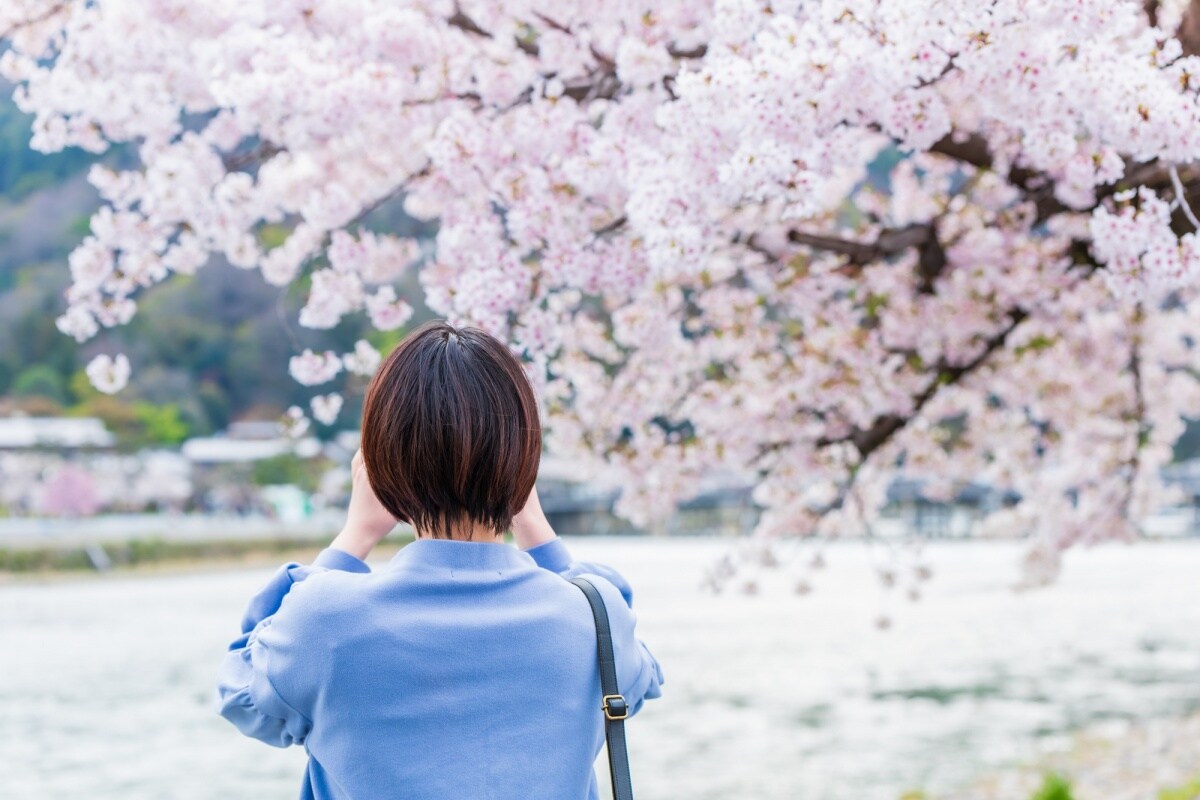 深度日本 震惊 曾经梅花才是赏花圈c位 花见 习俗与樱花上位的那些秘密 All About Japan