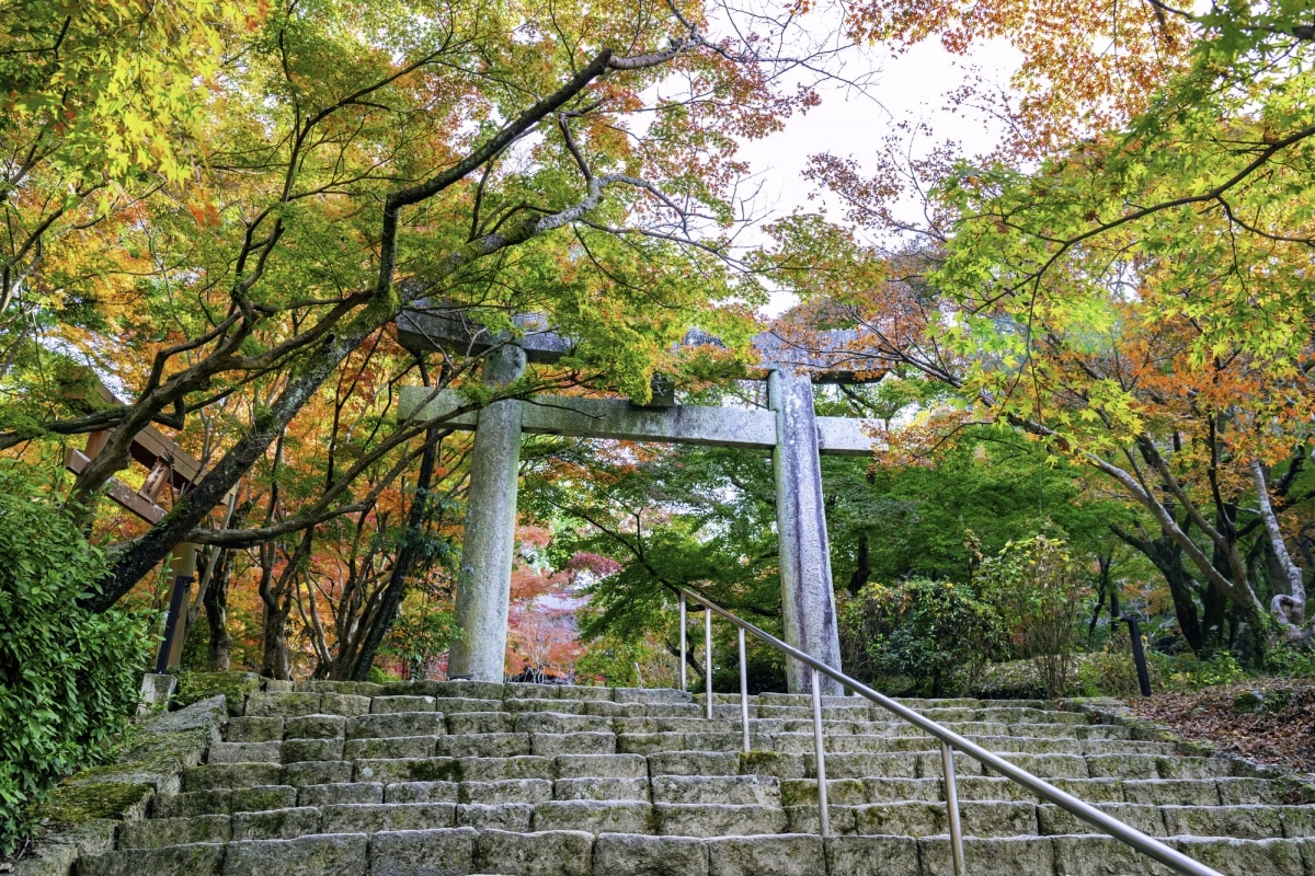 สถานที่ท่องเที่ยวแนะนำ : ศาลเจ้าต่างๆ มากมาย ที่ตั้งอยู่ในเมืองดาไซฟุ