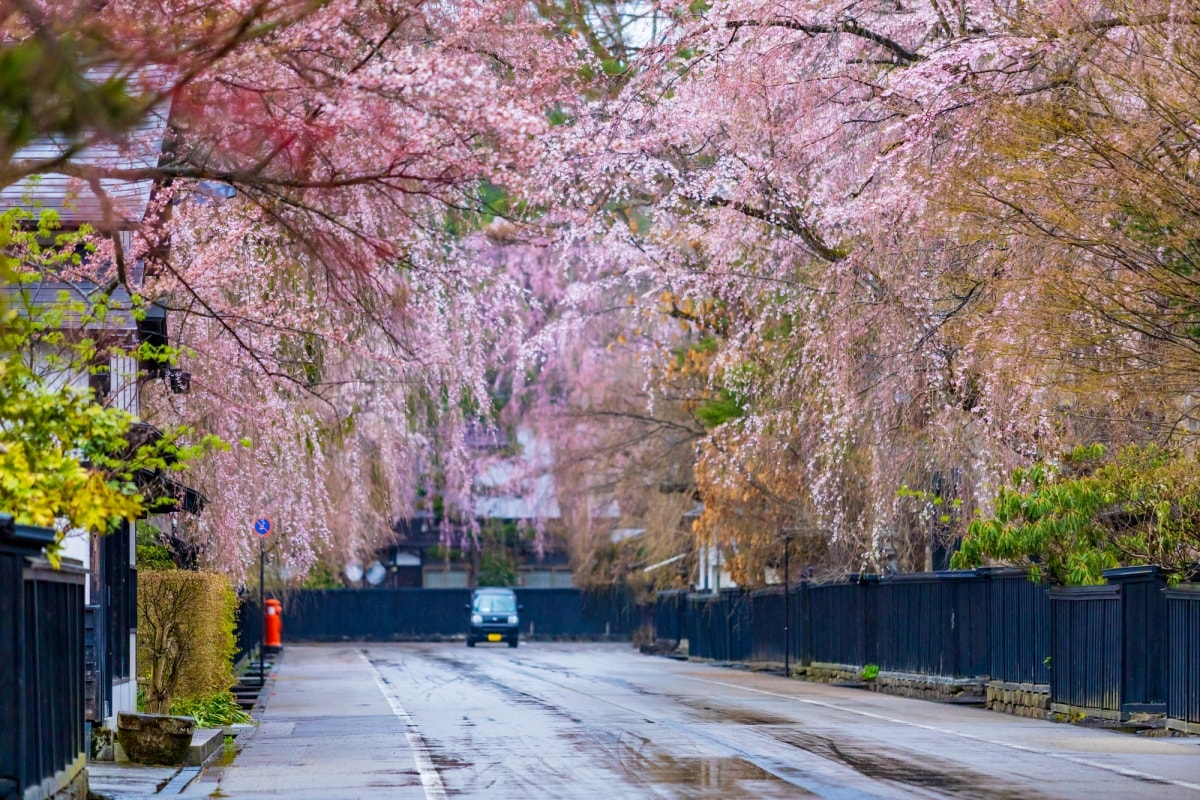 6. คาคุโนะดาเตะ จ.อากิตะ (Kakunodate, Akita)