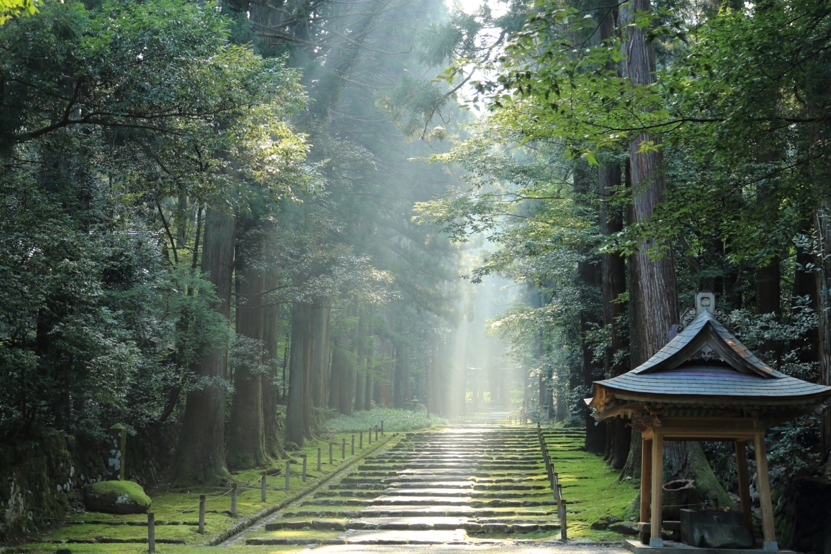 3. 福井县：平泉寺白山神社