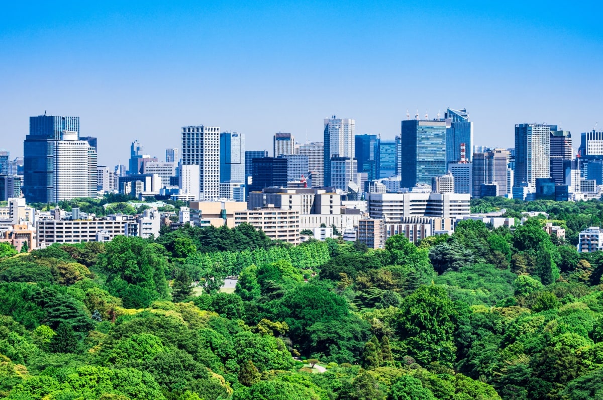 2. สวนชินจูกุเกียวเอ็น โตเกียว (Shinjuku Gyoen National Garden, Tokyo)