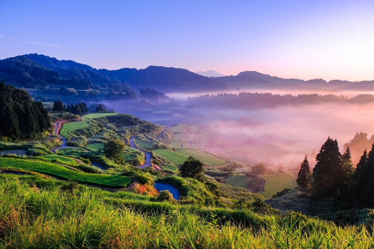 3. นาข้าวขั้นบันไดโฮชิทาเกะ จ.นีงาตะ (Hoshitoge Terraced Rice Fields, Niigata)