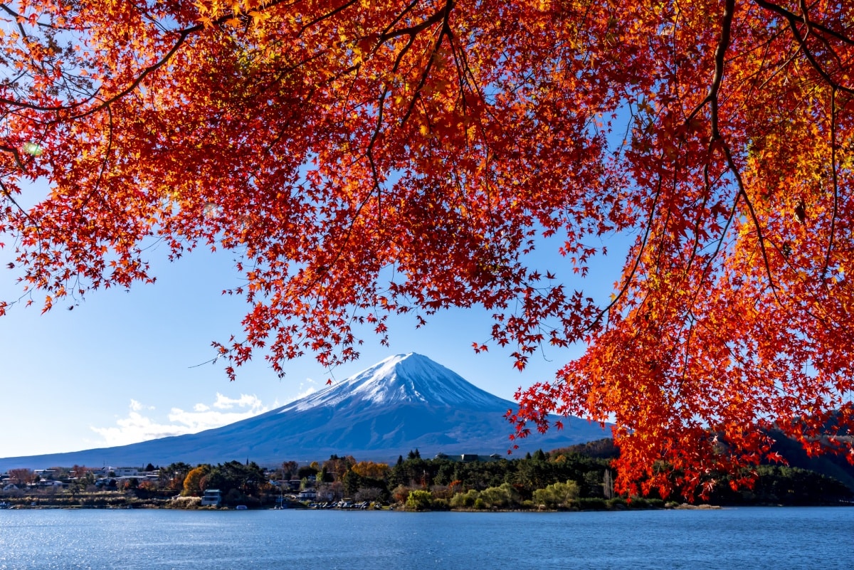 วิธีแต่งตัวในฤดูใบไม้ร่วงและฤดูหนาวที่ญี่ปุ่น | All About Japan