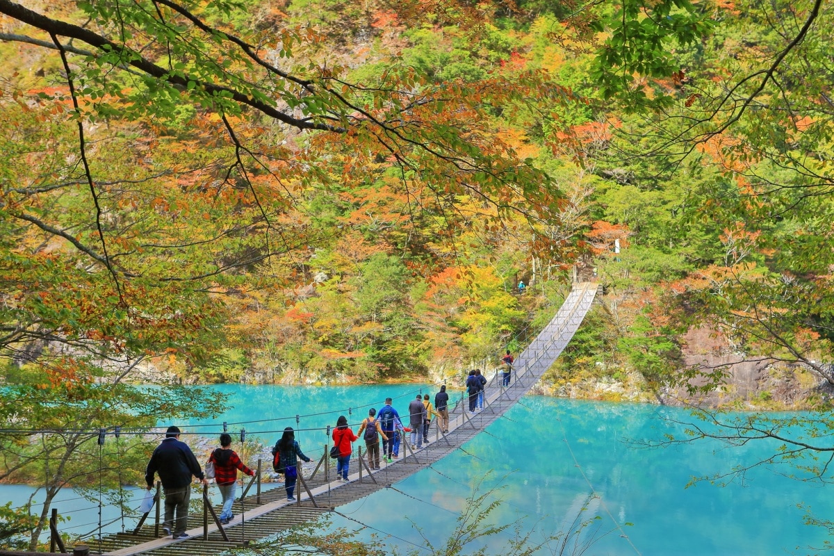 15. หุบเขาสุมาตะเคียว จังหวัดชิซึโอกะ (Sumatakyo Gorge, Shizuoka)