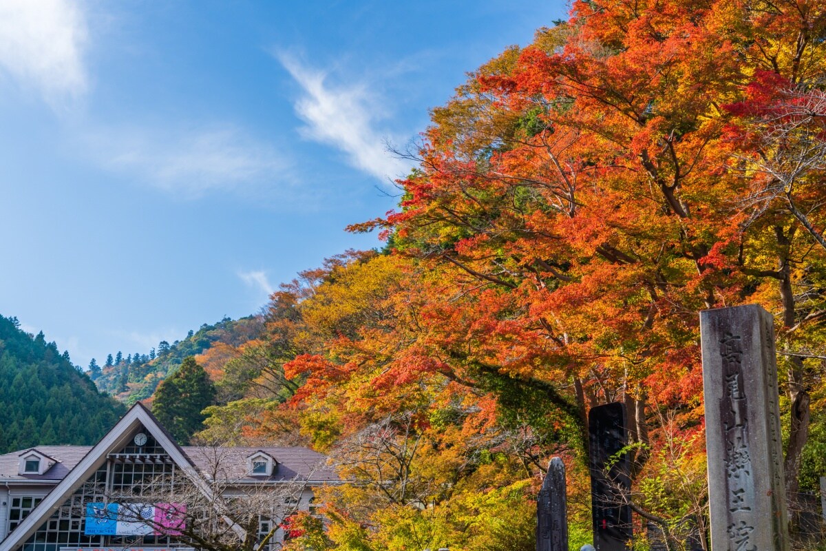 2.【八王子】高尾山