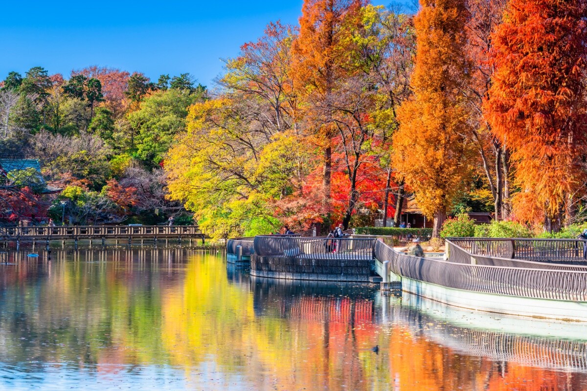 3.【吉祥寺】井之頭恩賜公園