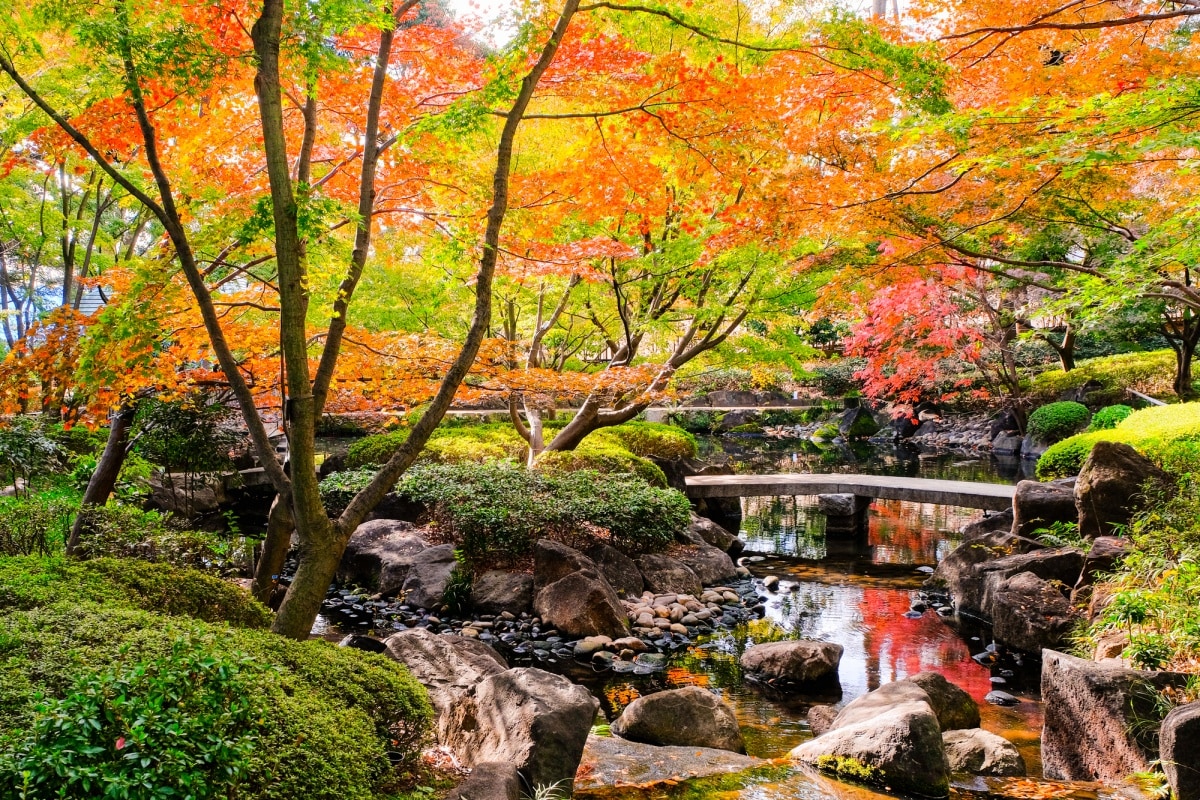 5.【荻窪】大田黑公園