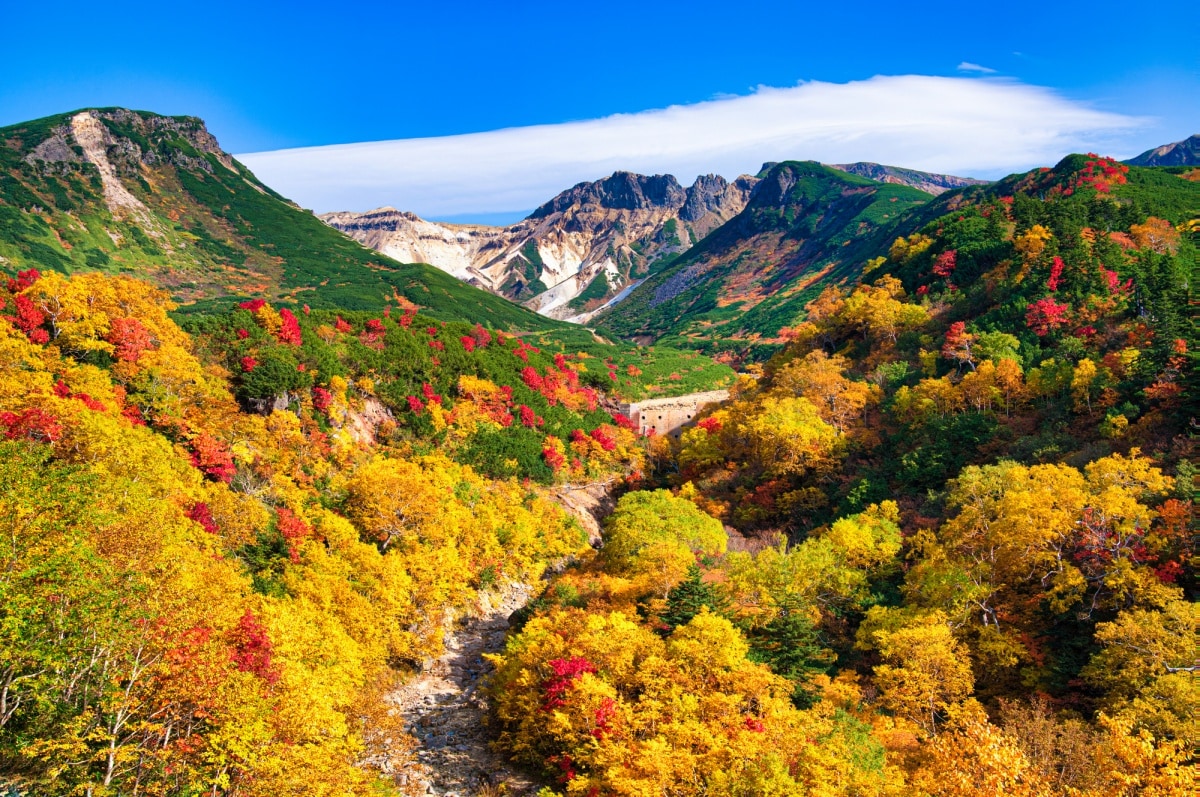 1. อุทยานแห่งชาติไดเซทสึซัง จ.ฮอกไกโด (Daisetsuzan National Park, Hokkaido)