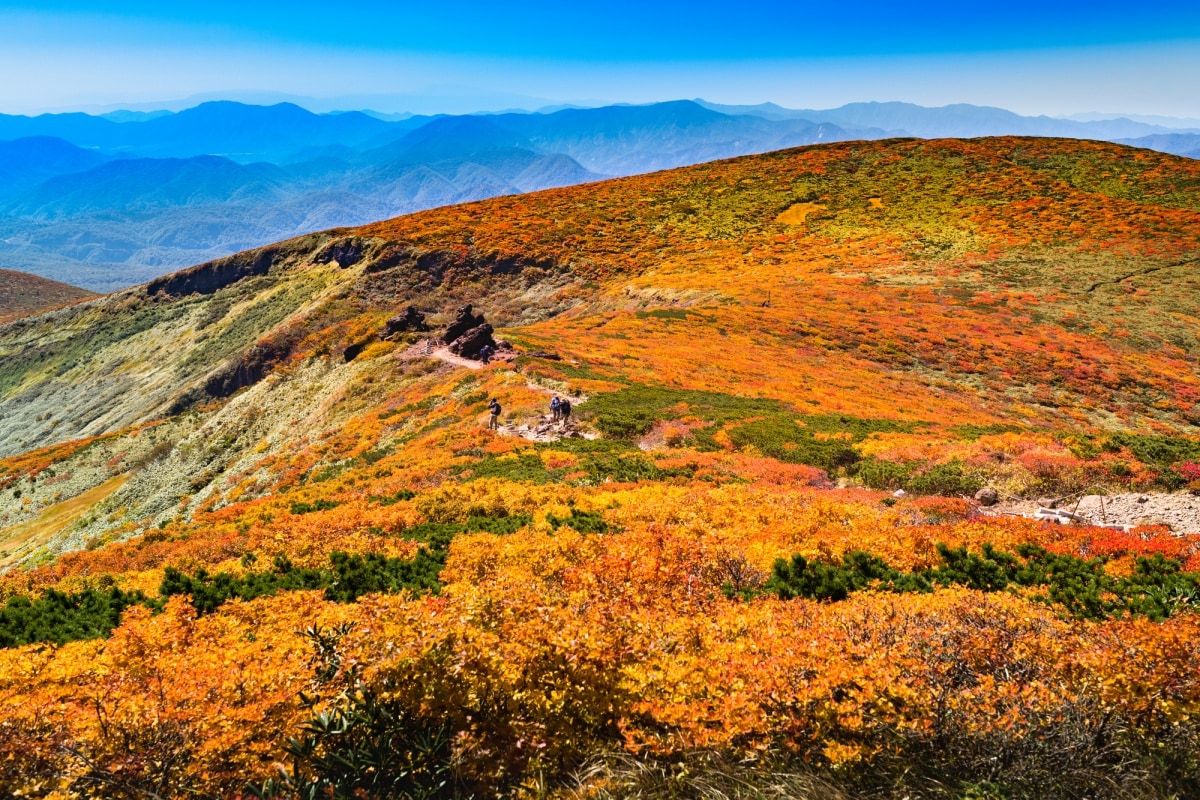 4.  ภูเขาคุริโคมะ จ.อิวาเตะ (Mt. Kurikoma, Iwate)