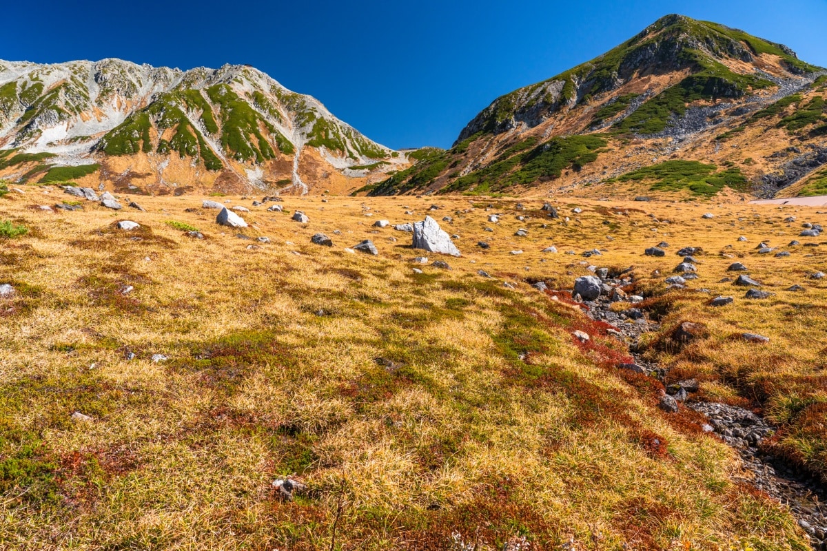 5. เส้นทางเจแปนแอลป์ ทาเตยามะ-คุโรเบะ จ.โทยาม่า (Tateyama Kurobe Alpine Route, Toyama)