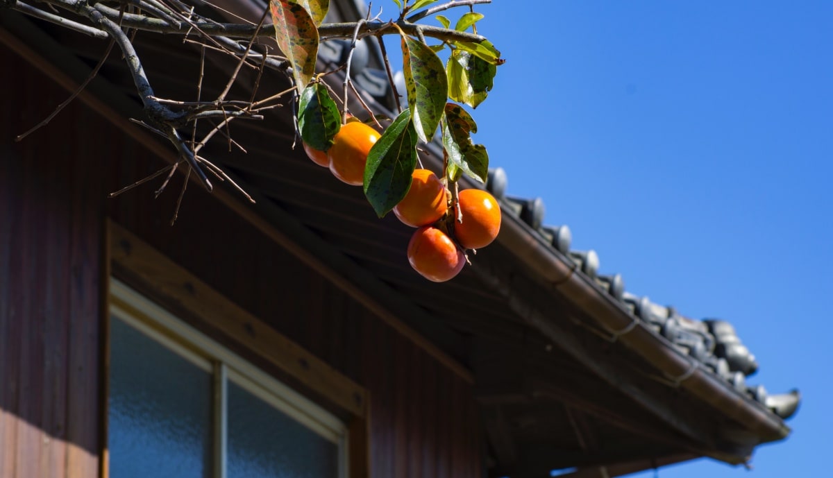 Seasonal Snacking