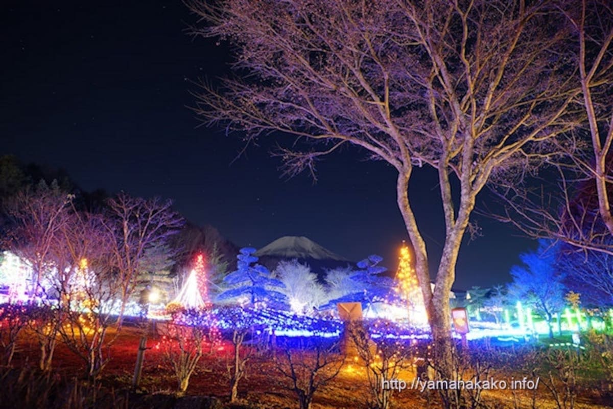 Hana no Miyako FANTASEUM (Yamanashi Prefecture)