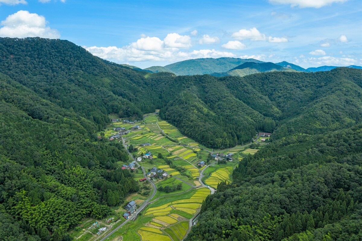 牽動京都歷史與文化相依相伴的里山