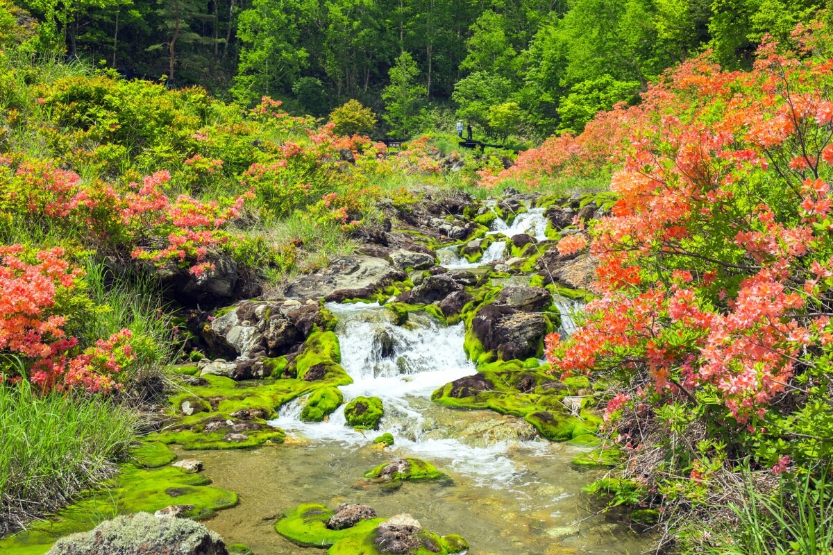 สถานที่ท่องเที่ยวน่าสนใจในนาคาโนะโจ