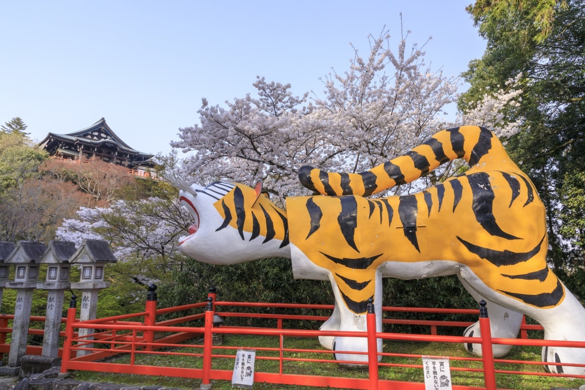 วัดโชโงะซนชิจิ (Chogosonshi-ji Temple)