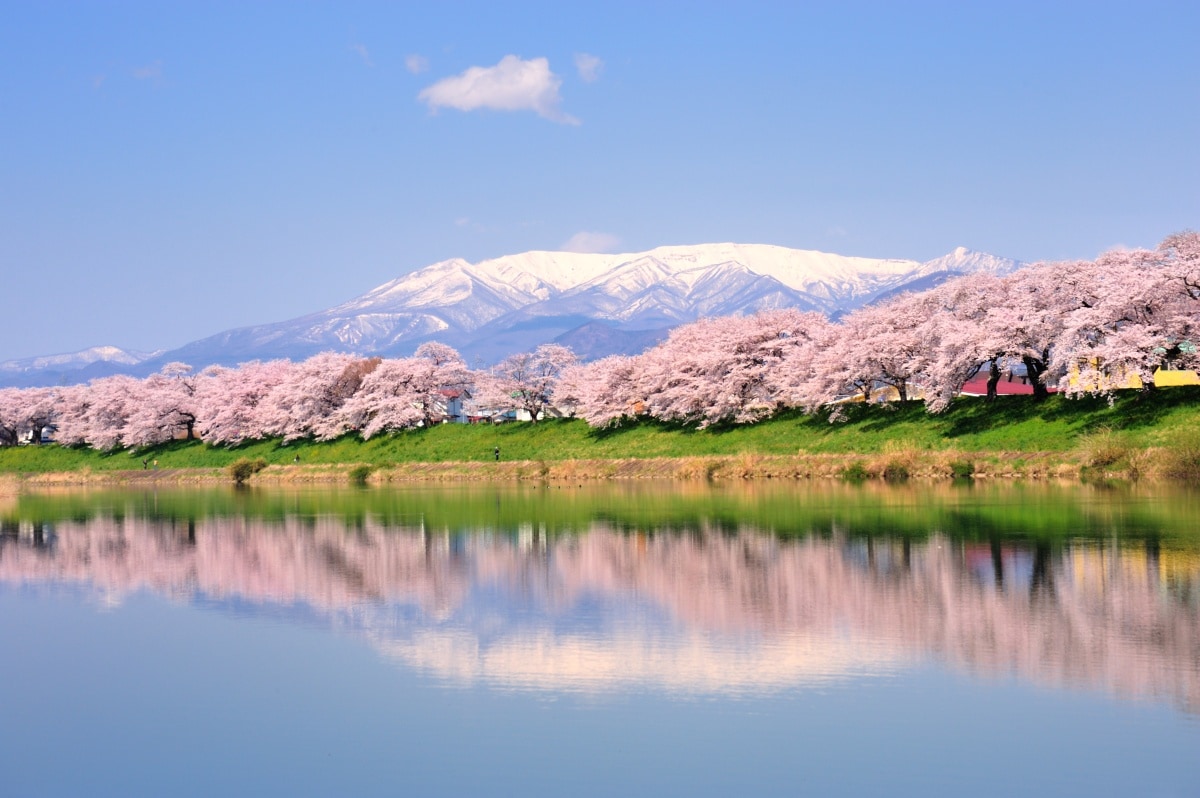 Travel by Train to Superb Sakura Viewing Spots | All About Japan