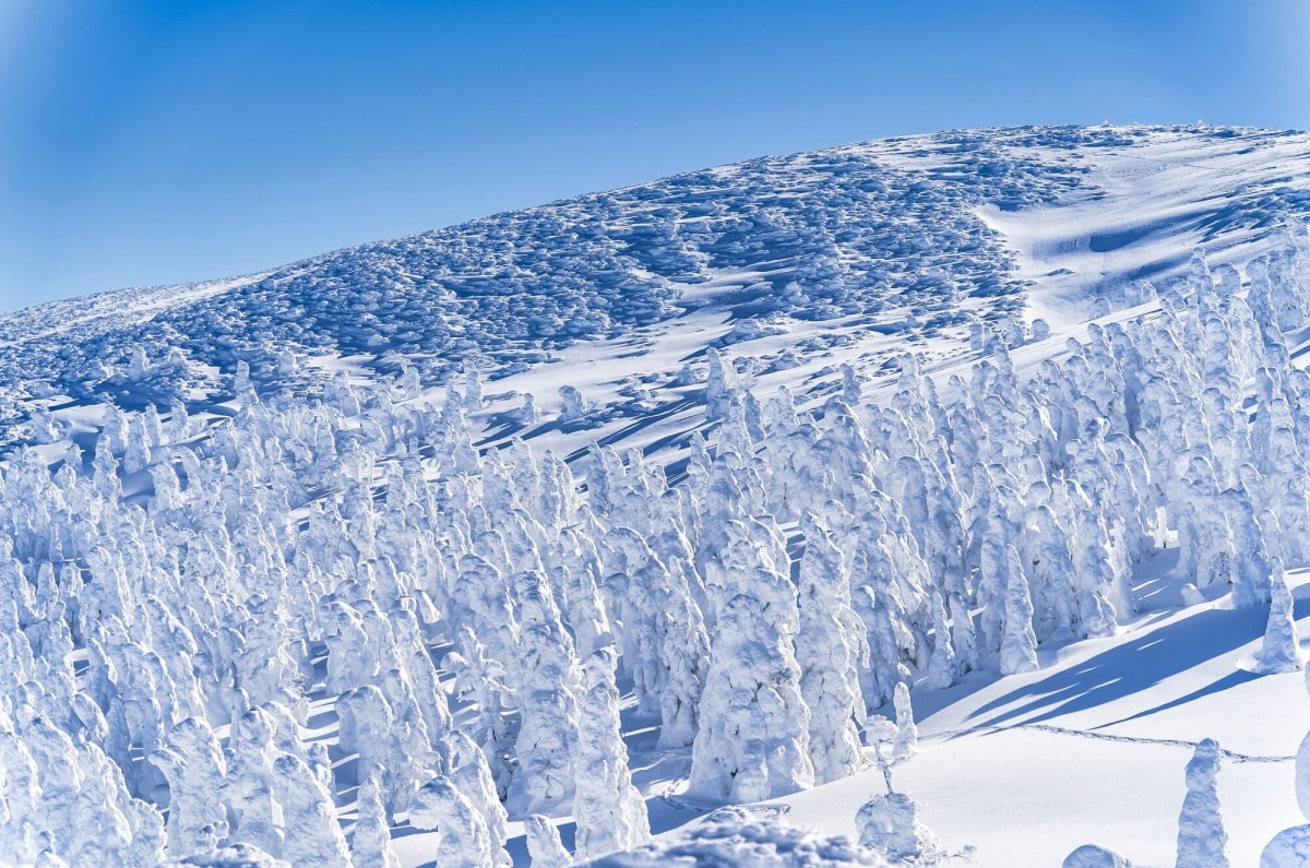 山形县：藏王温泉滑雪场