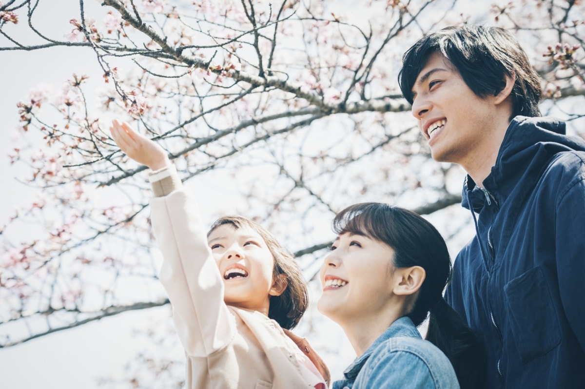 ฤดูใบไม้ผลิในญี่ปุ่น (Spring in Japan)