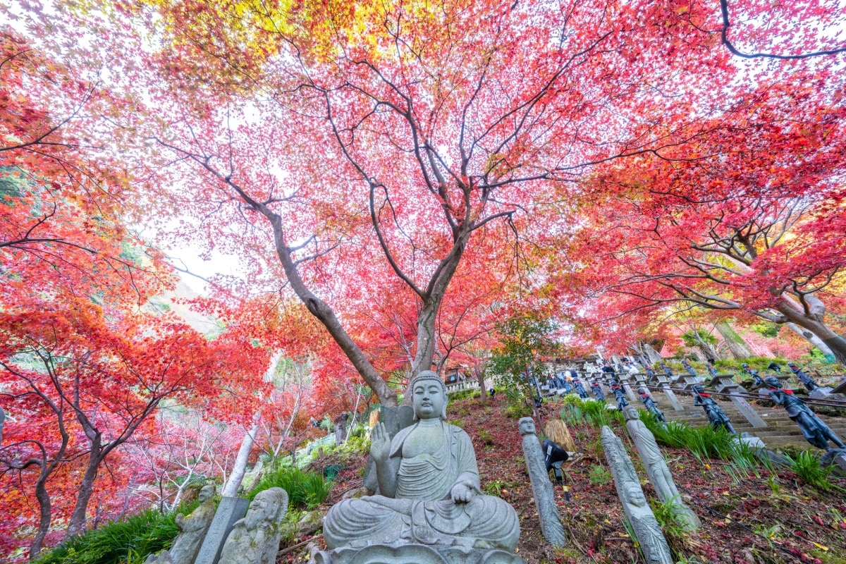 1. วัดโอยามะเดระ (Oyamadera Temple)