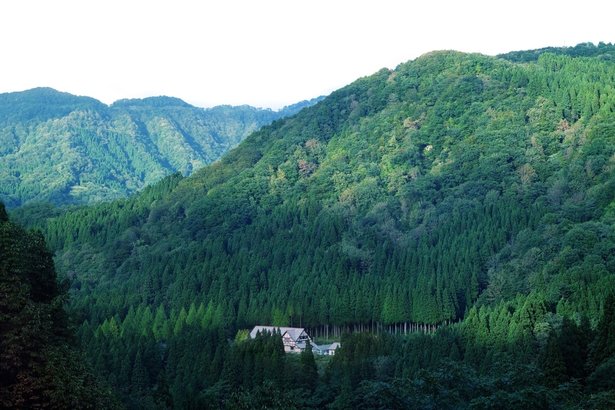 各地開花！使用日本地域特產製成的天然美妝