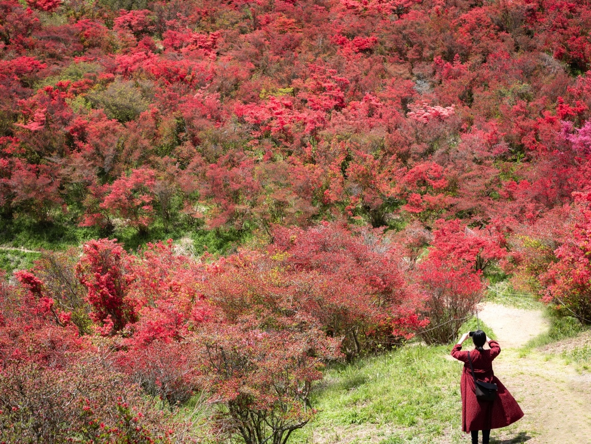 2. ภูเขายามาโตะคัตสึรากิ (Mt.Yamatokatsuragi) จังหวัดนารา (Nara)