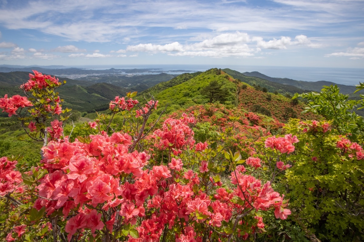 5. ภูเขาโทคุเซ็นโจ (Mt. Tokusenjo) จังหวัดมิยางิ (Miyagi)