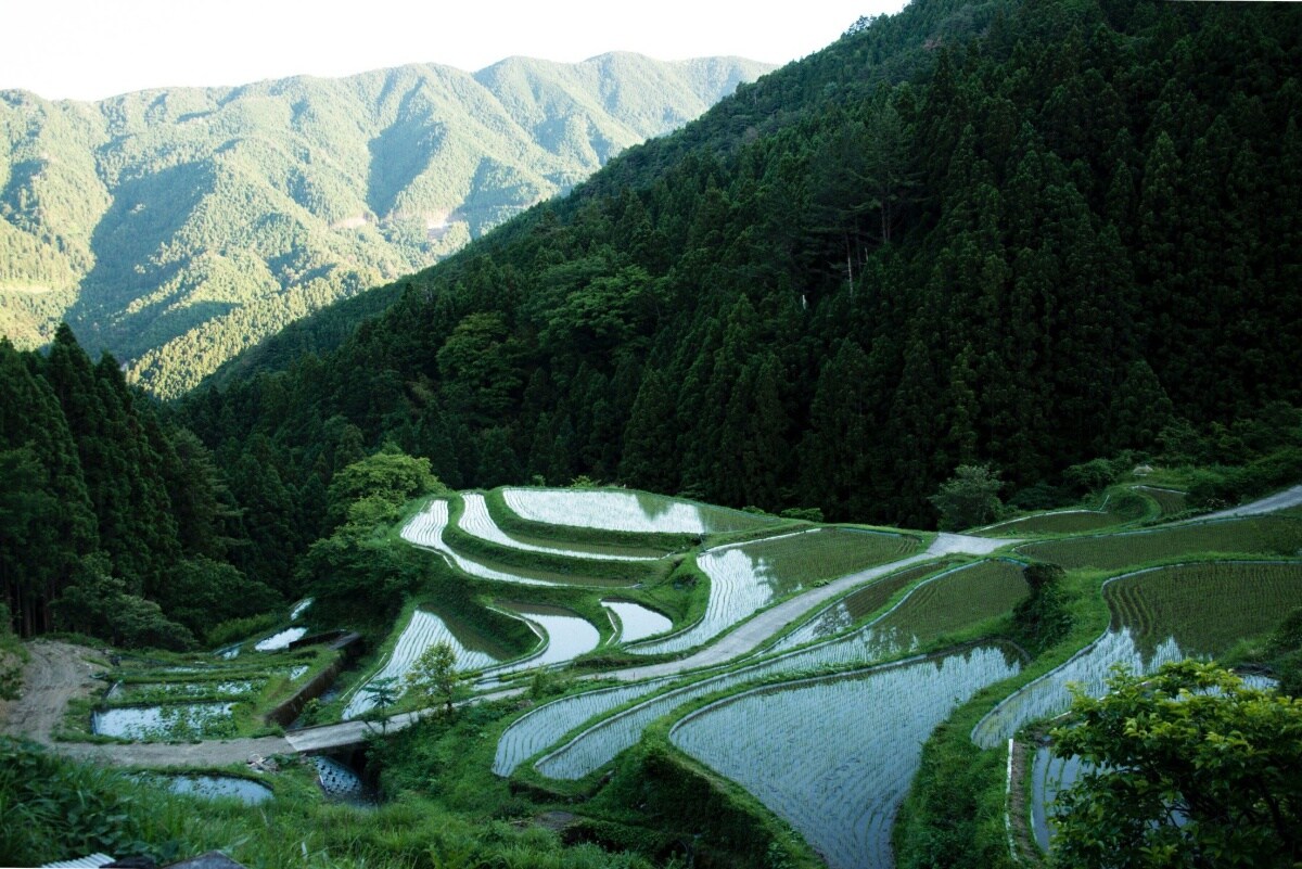 日本響應環保愛護地球的計量販售先驅